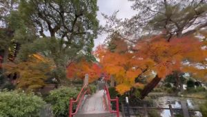 武蔵寺・御自作天満宮の紅葉　